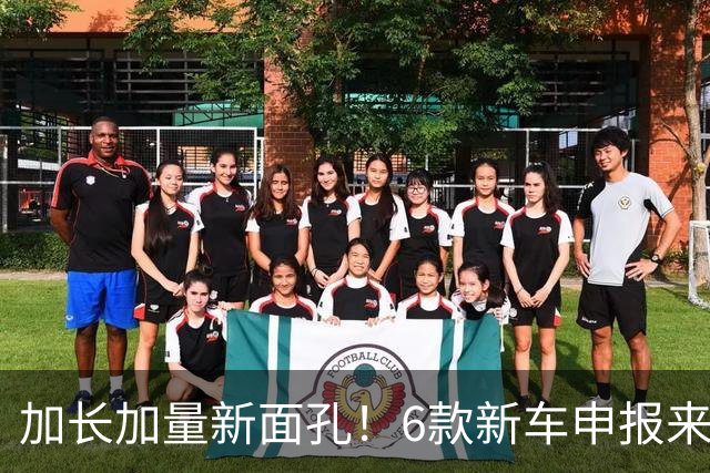 加长加量新面孔！6款新车申报来了